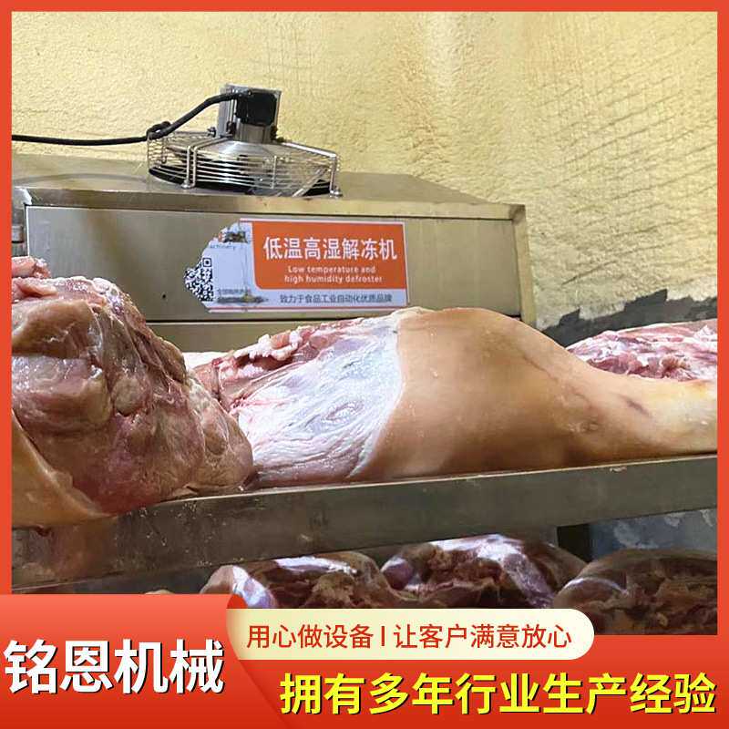 牛肉化冻机 羊肉解冻流水线进口牛羊肉低温解冻柜 低温高湿解冻库