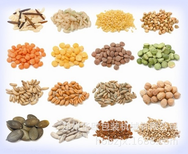 厂家直销 HO-T02不锈钢斗式上料机 颗粒自动加料机 颗粒提升机