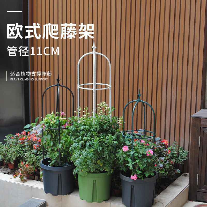 新品 电商欧式爬藤架园艺种植支撑架室外阳台盆栽月季花卉攀爬花,鲜花速递/花卉仿真/绿植园艺,花架,淘宝优惠券,粉丝福利购,淘宝优惠卷