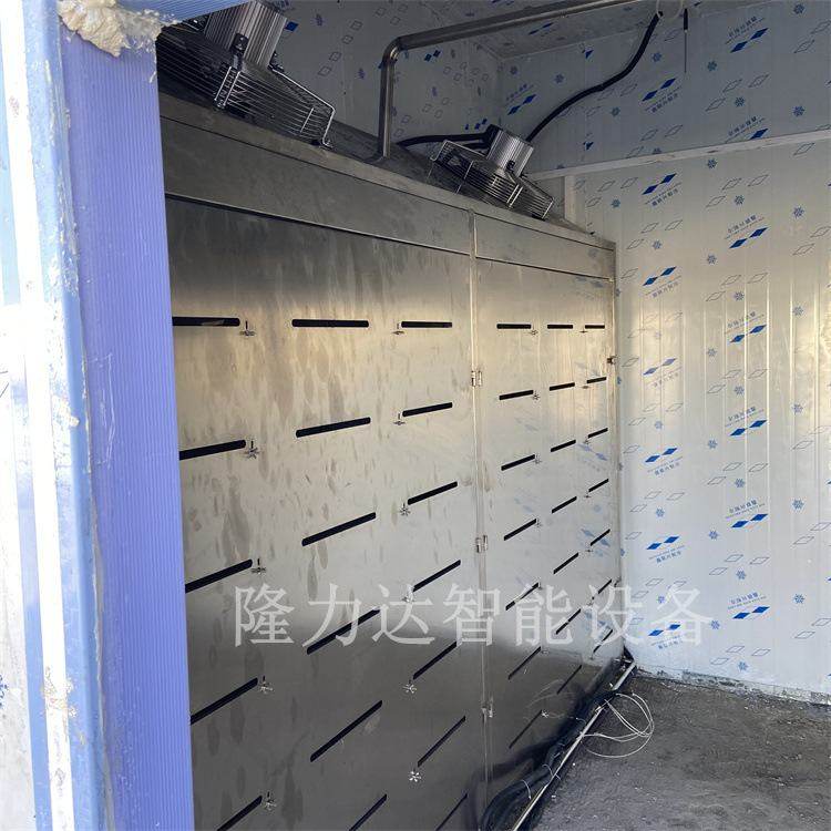解冻机 大块肉低温高湿解冻库 牛羊肉低温高湿缓化库 按需定制
