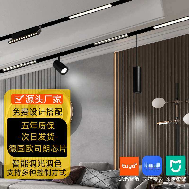 客厅家用磁吸轨道灯射灯宽边框无20批发主嵌入式灯智能无轨道48V,家装灯饰光源,轨道磁吸灯,淘宝优惠券,粉丝福利购,淘宝优惠卷