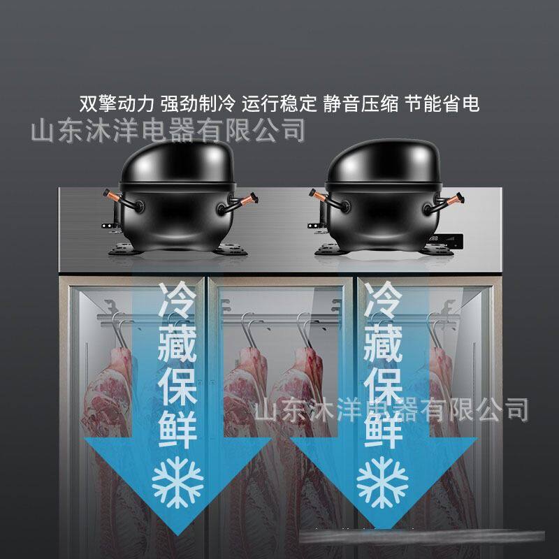 挂肉柜商用冷藏展示柜立式冰柜速冻保鲜整猪牛羊双门直冷排酸