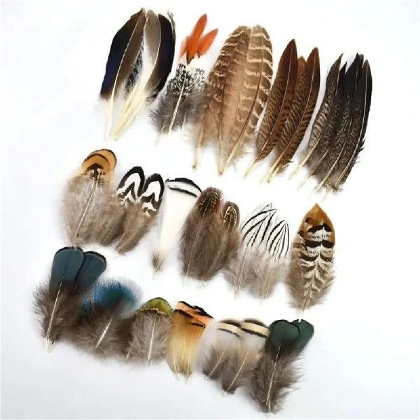40/48Pcs Assorted Natural Feathers Bulk Long Big Feathers图片