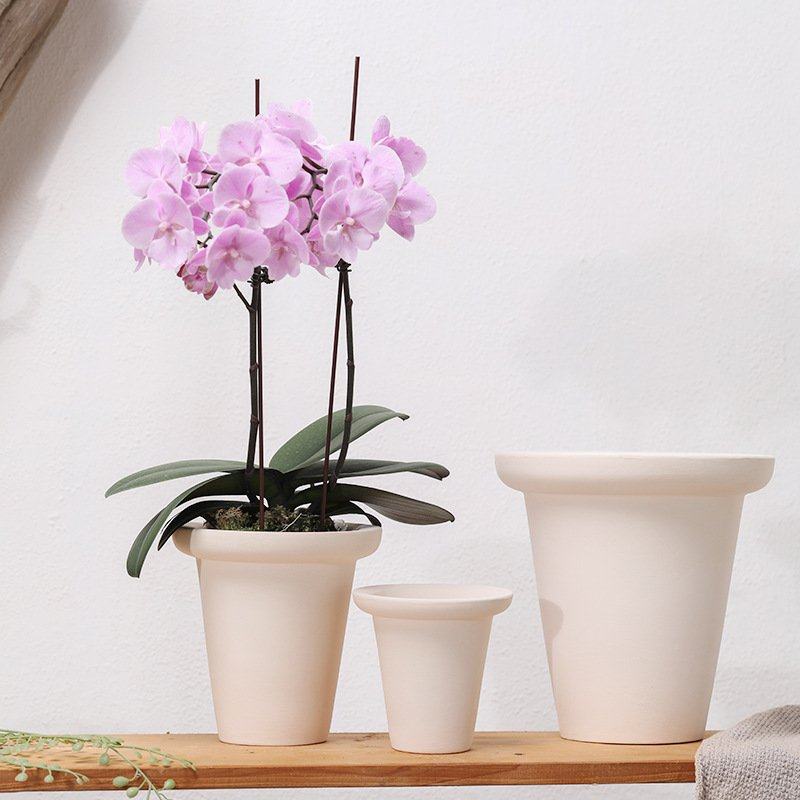 扁圆直圆素烧陶瓷画画蝴蝶兰吸水多肉可陶土白粗透气盆栽陶花盆自,家居饰品,花盆,淘宝优惠券,粉丝福利购,淘宝优惠卷