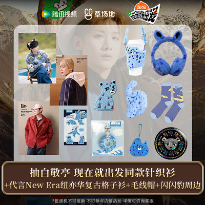 现在就出发3官方正版周边白敬亭闪闪豹扭蛋机同款针织衫毛线帽