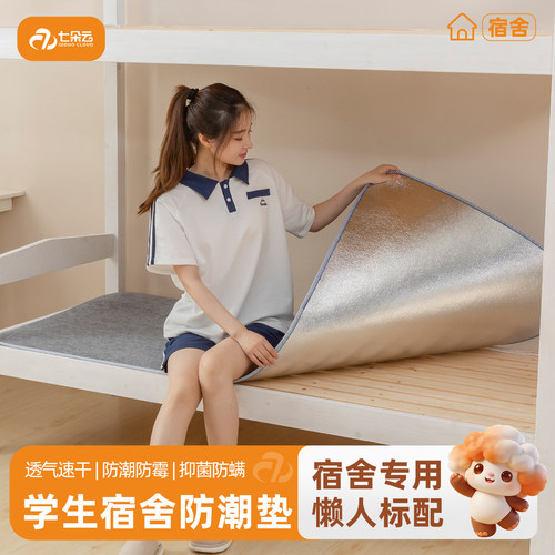 宿舍防潮垫床上用吸湿防霉防螨隔脏垫四季隔潮加厚榻榻米毛毡垫子
