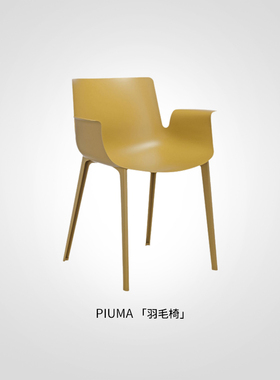 Kartell意式原装进口简约现代书房餐厅阳台个性休闲椅羽毛椅PIUMA