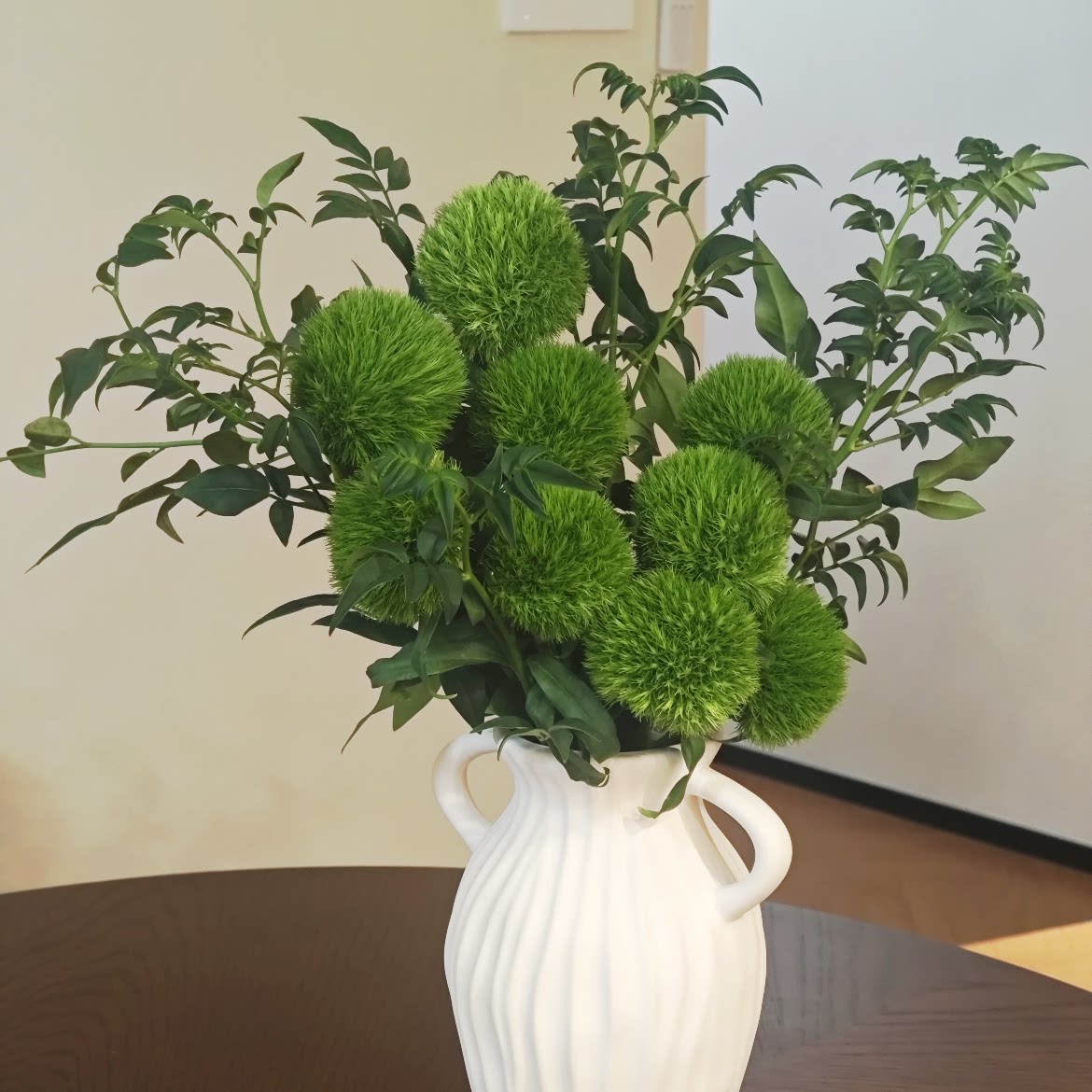 绿毛球鲜花 九星叶小雏菊云南鲜鲜花速递(同城)