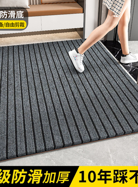 入户门地垫进门垫门外防滑脚垫耐脏免洗可擦可裁剪门口高级感地毯