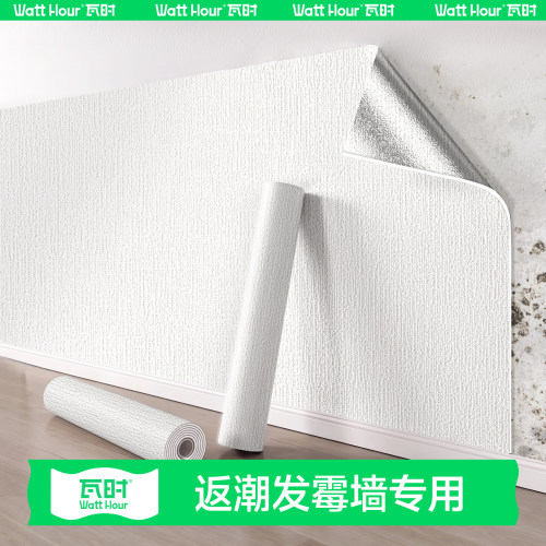【2026新款】发霉墙专用加厚墙纸