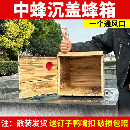 沉盖式土养蜂箱双开门老式诱蜂桶