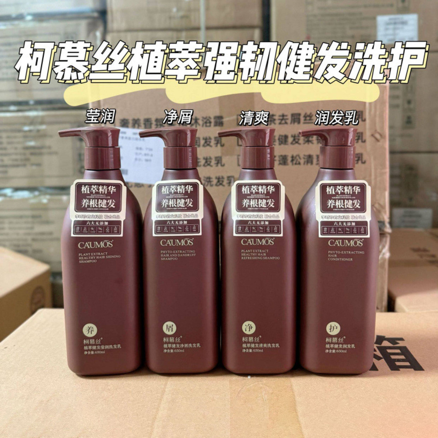 柯慕丝植萃去屑洗发水润发护发素