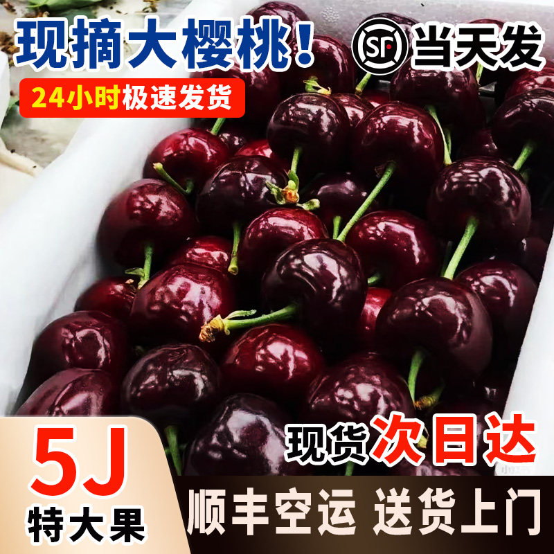 大连美早大樱桃新鲜孕妇水果车厘子包邮5斤装礼盒整箱当季国产5j