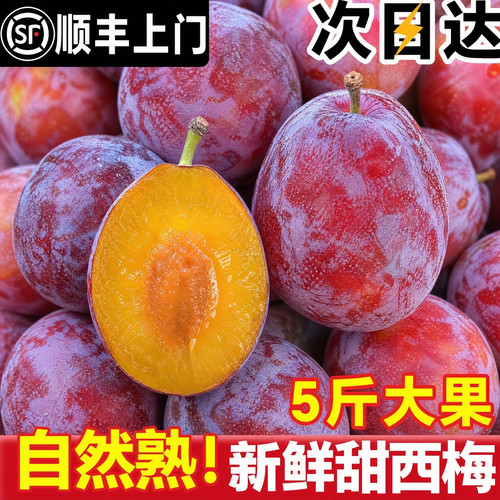【仅限1单】疯抢正宗新鲜西梅