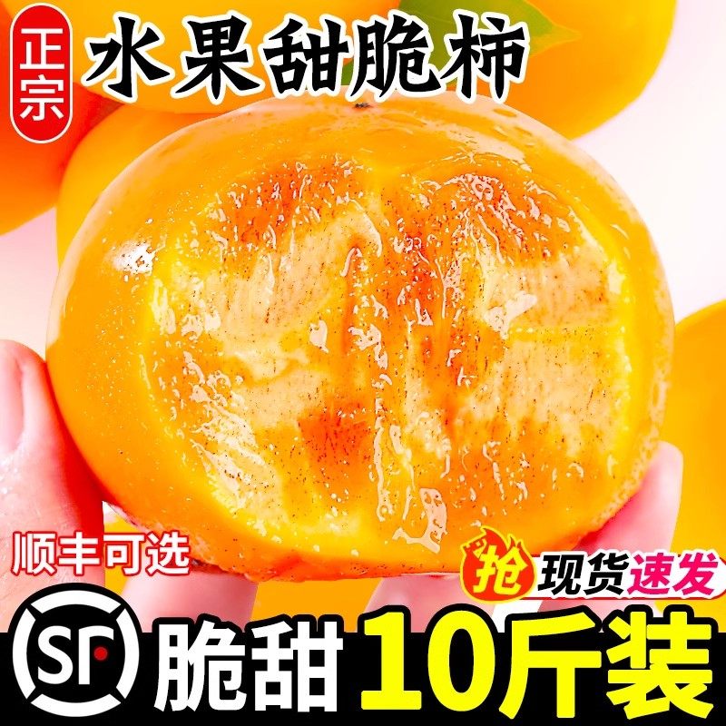 巧克力脆柿子新鲜水果太秋甜脆柿冰糖心阳丰硬脆皮柿子山西礼盒装