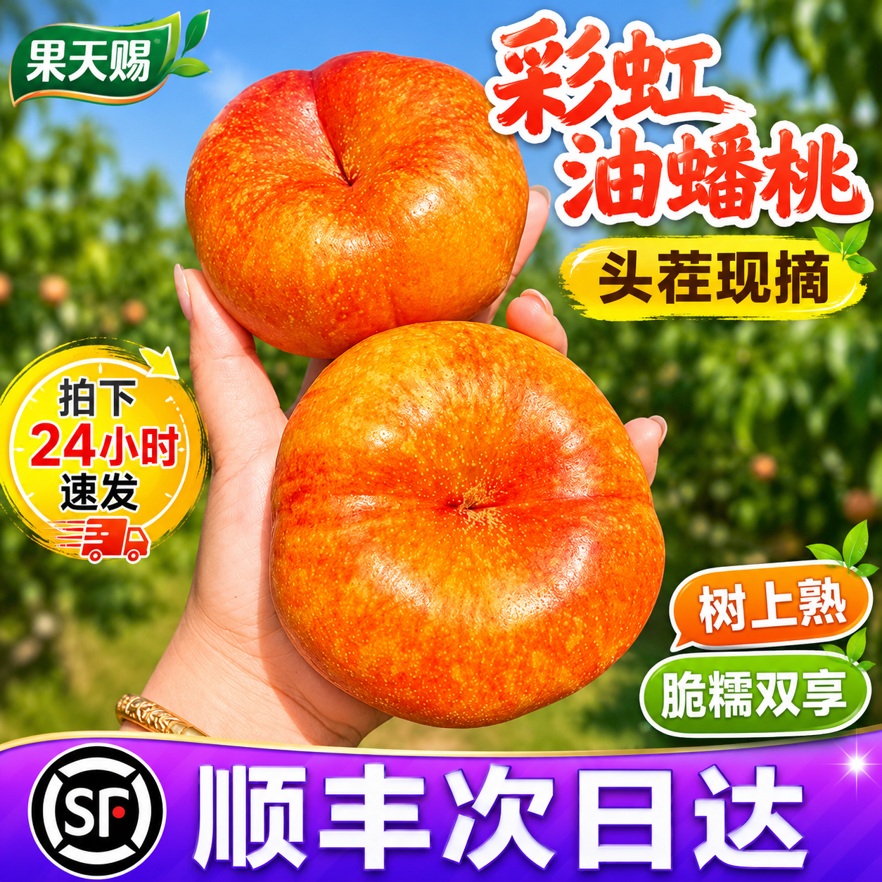 顺丰次日达!彩虹油蟠桃