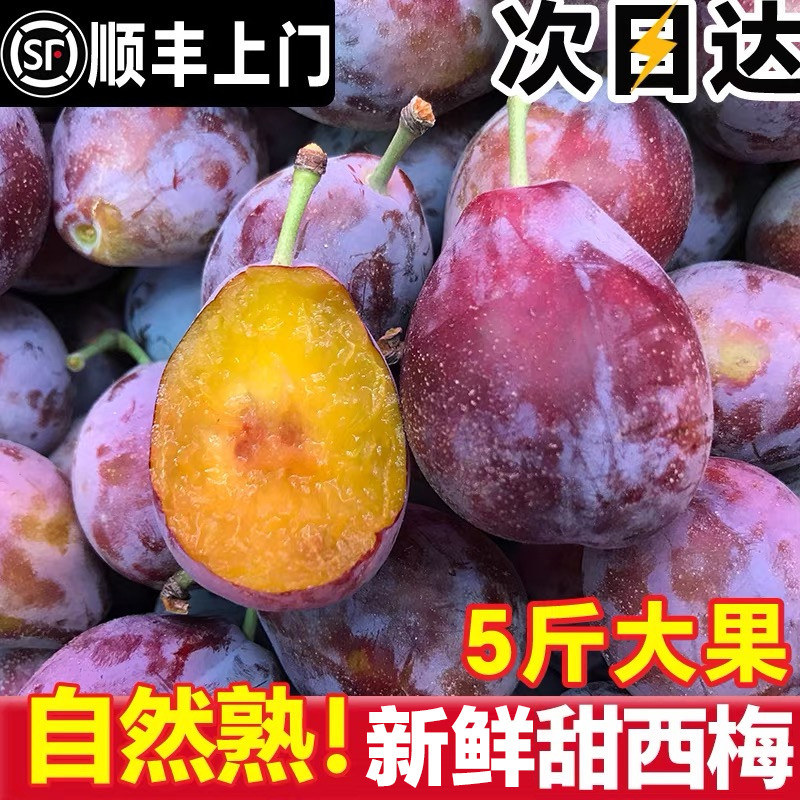 正宗西梅新鲜水果当季整箱新鲜李子甜蓝蜜特大法兰西西梅礼盒顺丰