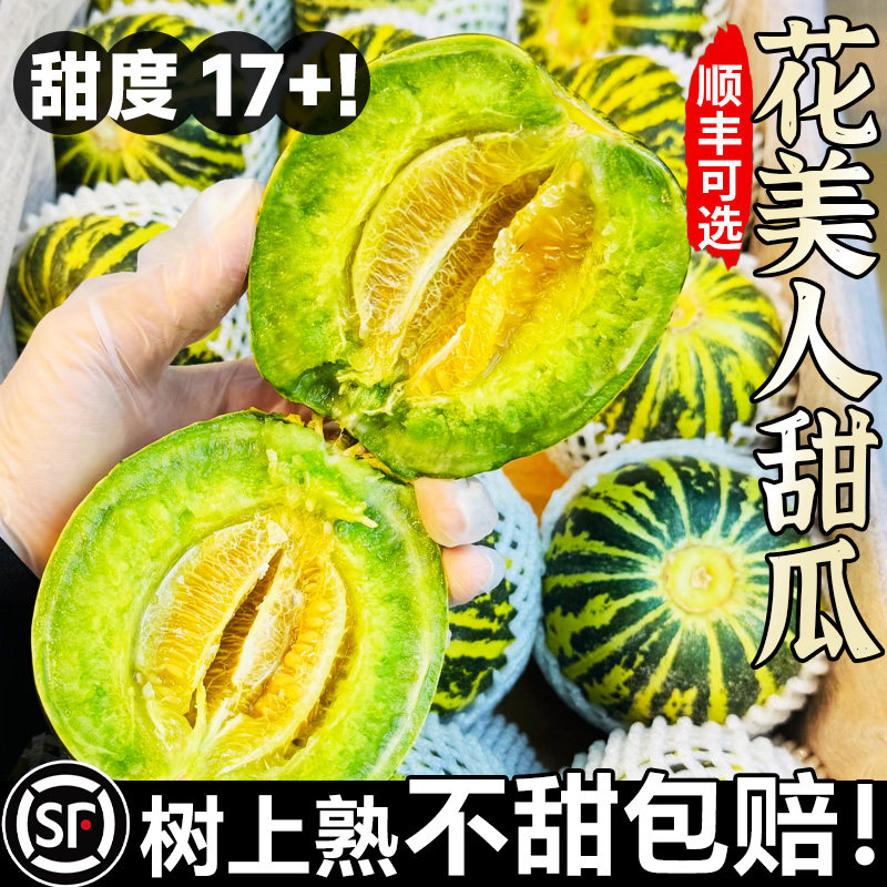 山东八里乡花美人甜瓜香瓜应当季新鲜整箱蜜瓜绿美人脆瓜时令水果