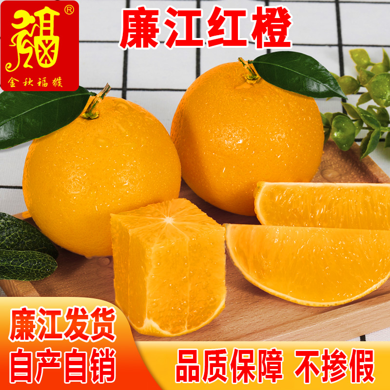 正宗廉江红橙红江农场橙子湛江特产红光橙红心橙现摘现发10斤礼盒