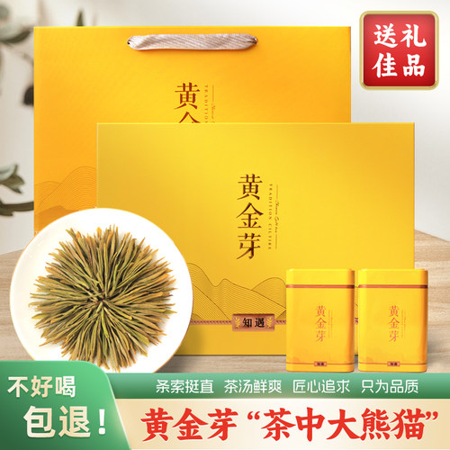 正宗安吉黄金芽明前头采礼盒装