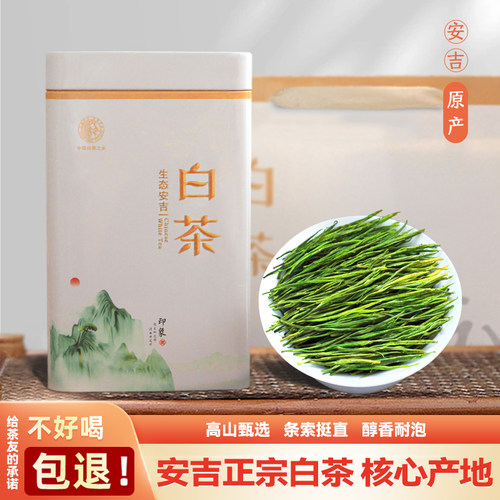 安吉高山白茶新茶绿茶口粮茶送礼