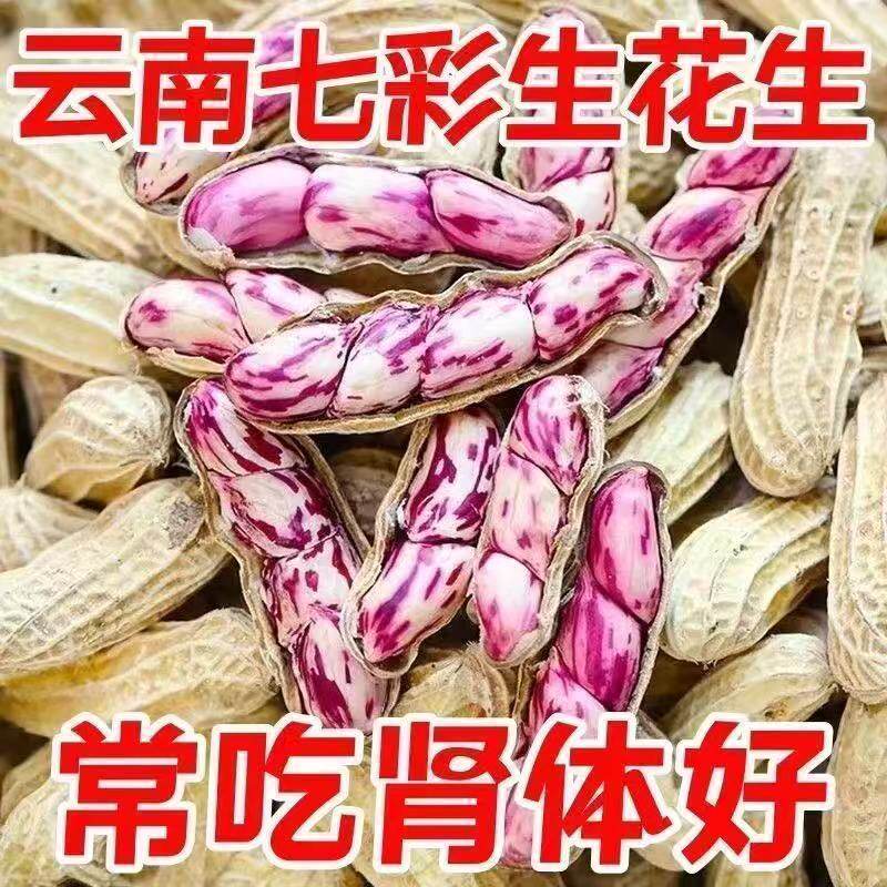 云南特产七彩花生米带壳晒干2026新货花生粒牛奶富硒彩色花生原味