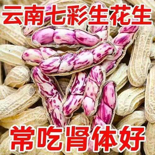 云南特产七彩花生米带壳晒干2026新货花生粒牛奶富硒彩色花生原味
