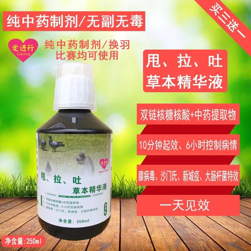 鸽子药6小时控制病情,腺病毒,沙门氏,新城疫,大肠杆菌买三送一