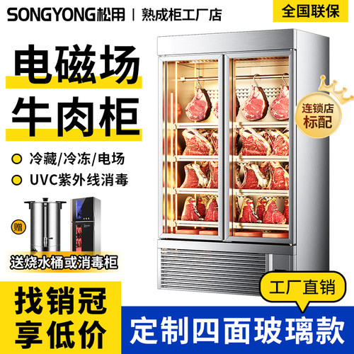 商用牛肉柜干湿式风冷深海鱼高压静电保鲜排酸展示柜牛肉熟成柜