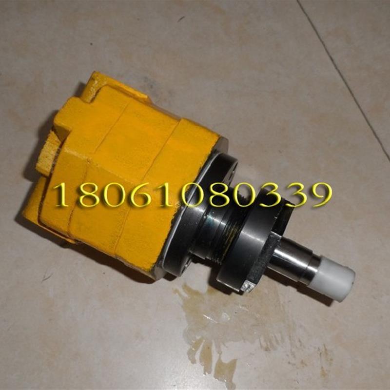 新款BB-BN125H1聚氨脂发泡料的摆线齿轮泵125NH1高粘度胶水泵包邮