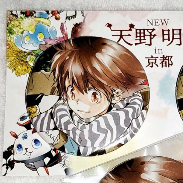 小红书同款家庭教师沢田