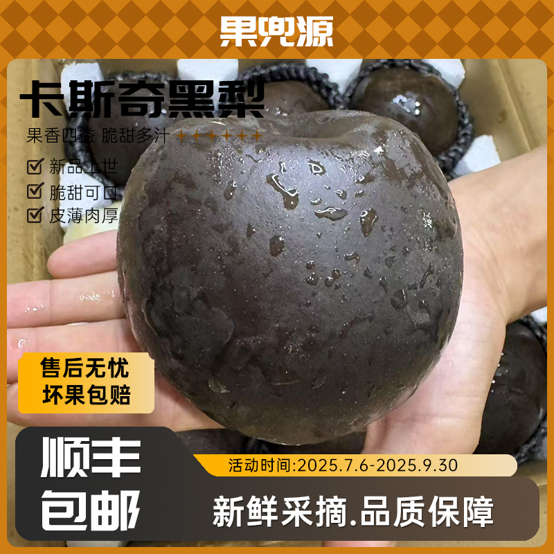 正宗四川黑梨乌梨稀有水果皮薄肉