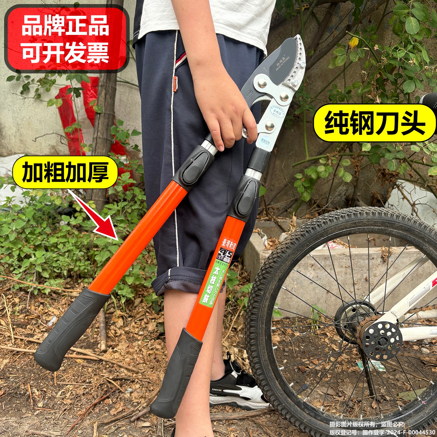 修剪树枝剪园艺粗枝果树园林强大力竹子专用树枝伸缩剪刀钳子