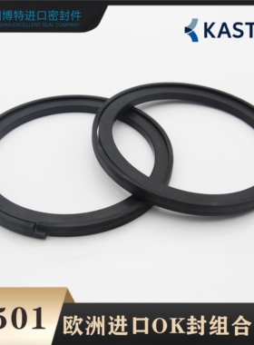欧洲进口KASTAS活塞K501组合 170/180*149/159*8.1  OK封PA密封圈