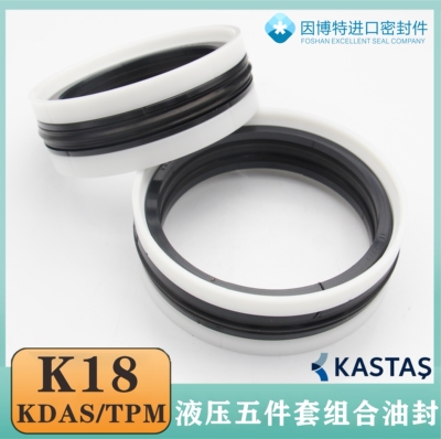 KASTAS进口K18液压KDAS组合油封