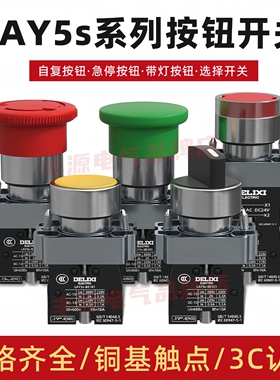 德力西金属自复位按钮开关LAY5S-BA31二三档旋转自锁NP2-BD21急停