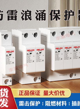 德力西家用避雷器40KA浪涌保护器DZ47SY 220V防雷器2P20KA电涌CDY