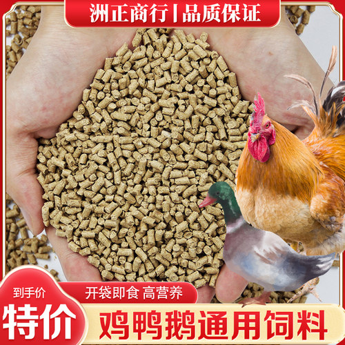 饲料喂鸡鸭鹅通用中颗粒特价