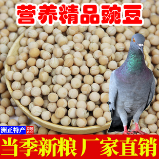 新白豌豆100斤鸽粮饲料营养鸽子粮50斤酿豆白豌豆黄高蛋白20kg