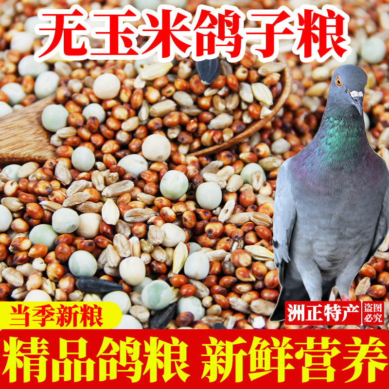 春华精品鸽粮新鲜优质营养好