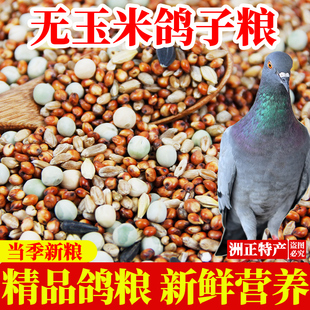 鸽粮100斤无玉米鸽子粮50kg营养红高粱豌豆5斤成肉鸽幼鸽粮鸟食