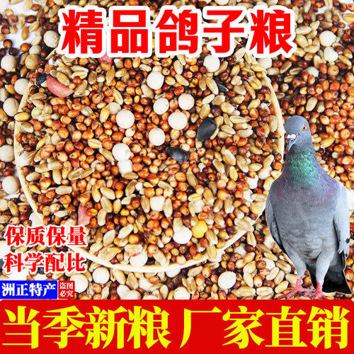 厂家直销精品鸽子粮特价有玉米豌豆油磕鸽粮鸟食无玉米成幼饲料