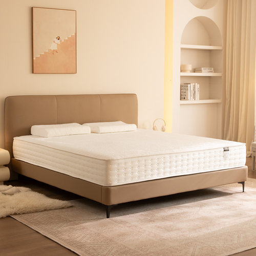 智能电动升降助起床卧室按摩全自动多功能家用双人1.5米1.8米床垫