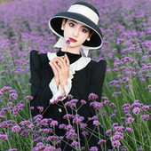 赫本帽子时尚 网红爆款 复古夏天法式 太阳帽度假大檐防晒草帽遮阳帽