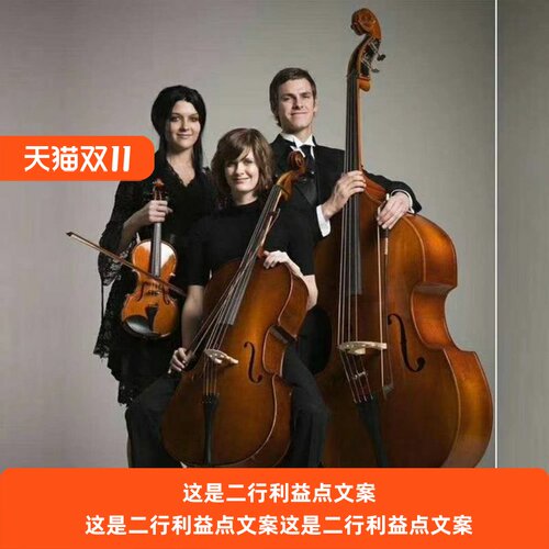 浩成大贝司低音提琴倍大提琴低音大贝司大贝斯儿童成人 专业 演奏