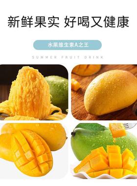 新疆阿比德abida碳酸饮料Mango juice饮料500ml