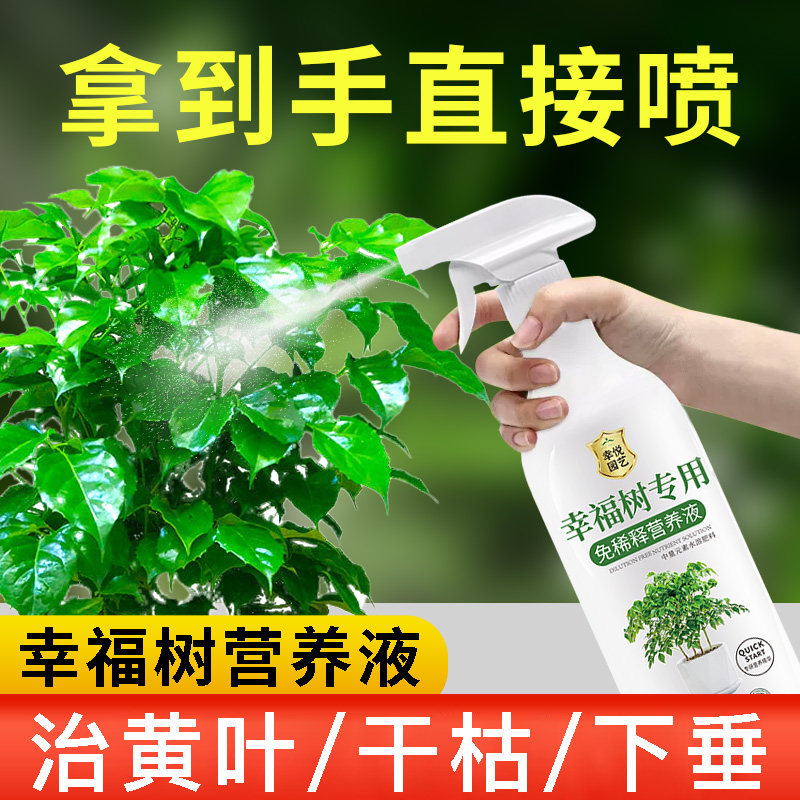 幸福树专用肥料营养液叶子干枯落叶黑斑黄叶盆栽花肥免稀释液体肥,鲜花速递/花卉仿真/绿植园艺,家庭园艺肥料,淘宝优惠券,粉丝福利购,淘宝优惠卷