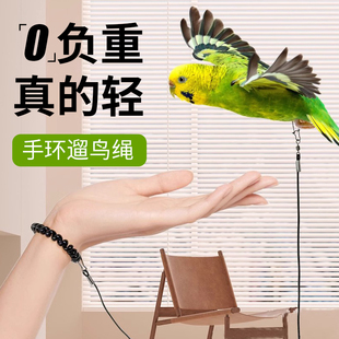 鹦鹉放飞绳虎皮脚环牡丹玄风八哥脚链训练外出超轻牵引绳遛鸟绳