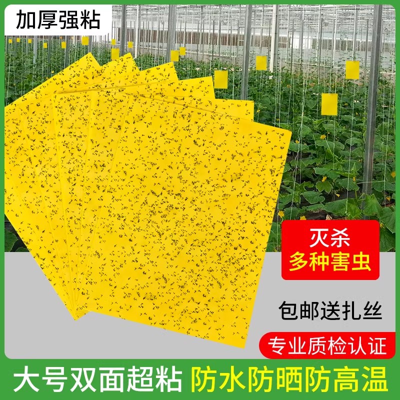 粘虫板黄双面小飞神器果园灭蝇贴