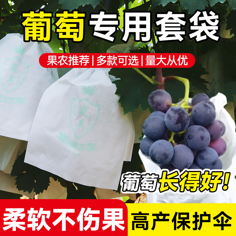 葡萄专用套袋防虫防鸟露天阳光玫瑰防晒袋子水果用套袋侧开门纸袋